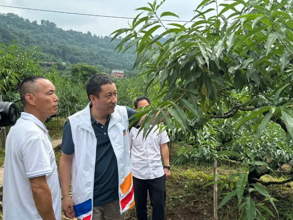 111_看图王.web.jpg